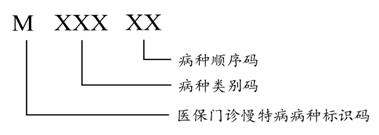 圖8醫(yī)保門(mén)診慢特病病種編碼結(jié)構(gòu)
