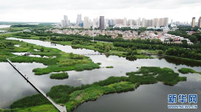 6月25日，市民在哈爾濱大劇院附近的城市濕地游玩（無人機照片）。新華社記者王建威攝