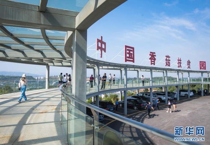 湖北省十堰市鄖陽(yáng)區(qū)青龍泉社區(qū)香菇產(chǎn)業(yè)基地（8月28日攝）。新華社記者 肖藝九 攝