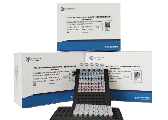 4廈門飛朔生物技術(shù)有限公司+人EGFR-KRAS-BRAF-HER2-ALK-ROS1基因突變檢測試劑盒（半導體測序法）