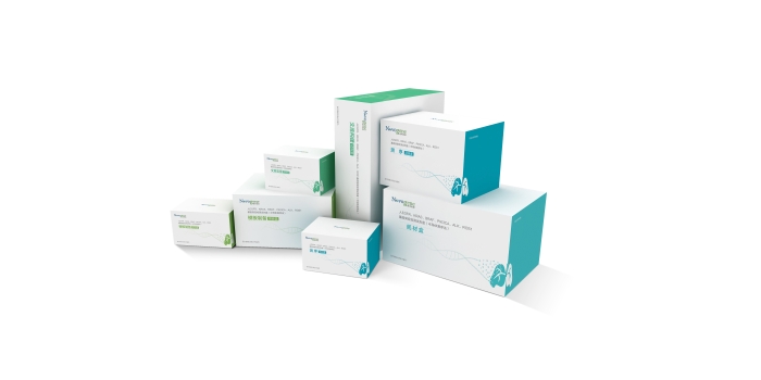 人EGFR、KRAS、BRAF、PIK3CA、ALK、ROS1基因突變檢測試劑盒（半導體測序法）1