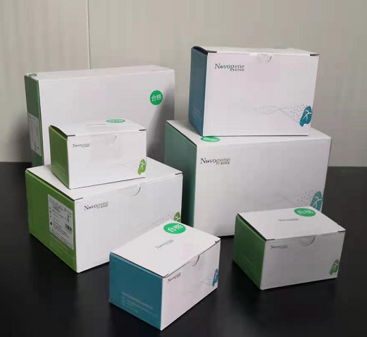 人EGFR、KRAS、BRAF、PIK3CA、ALK、ROS1基因突變檢測試劑盒（半導體測序法）2