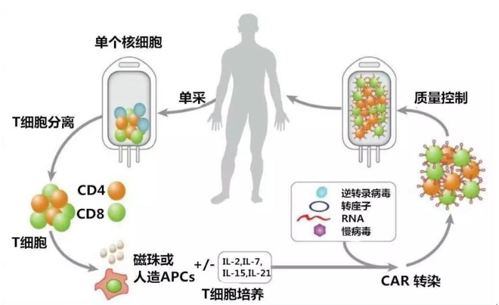 圖片1 圖片1