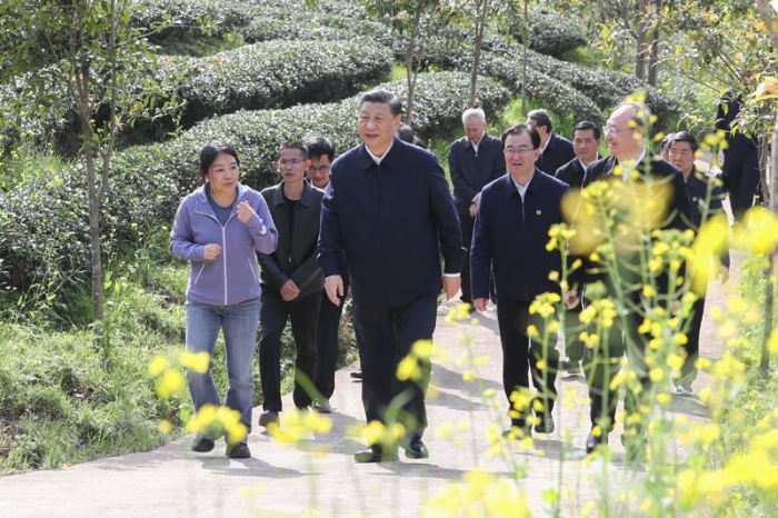 3月22日至25日，中共中央總書記、國家主席、中央軍委主席習近平在福建考察。這是22日下午，習近平在南平武夷山市星村鎮(zhèn)燕子窠生態(tài)茶園，察看春茶長勢，了解當地茶產業(yè)發(fā)展情況。新華社記者 鞠鵬 攝