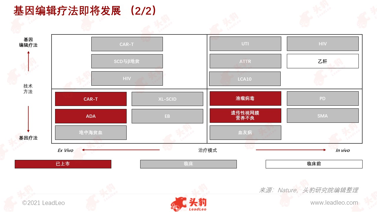 基因編輯療法即將騰飛2 基因編輯療法即將騰飛2