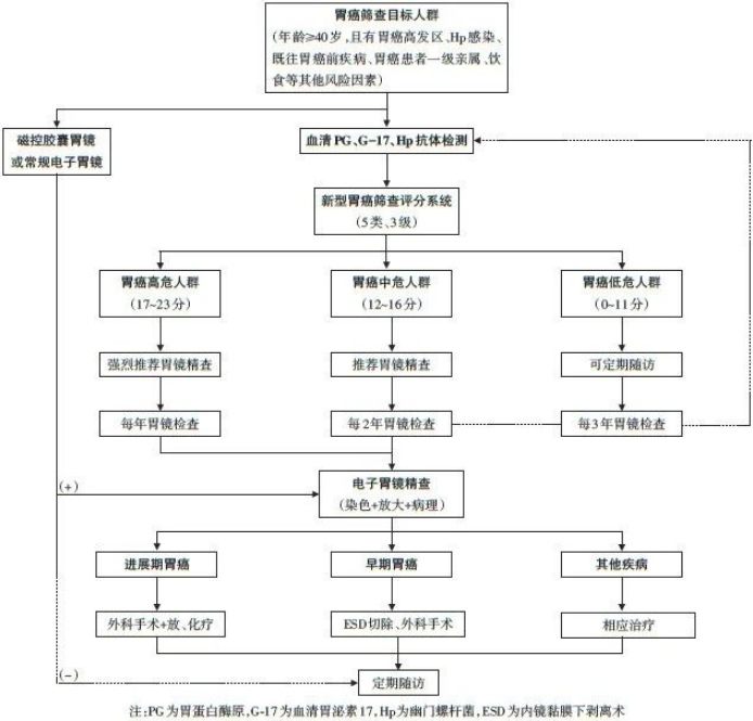 圖為早期胃癌篩查的推薦參考流程。