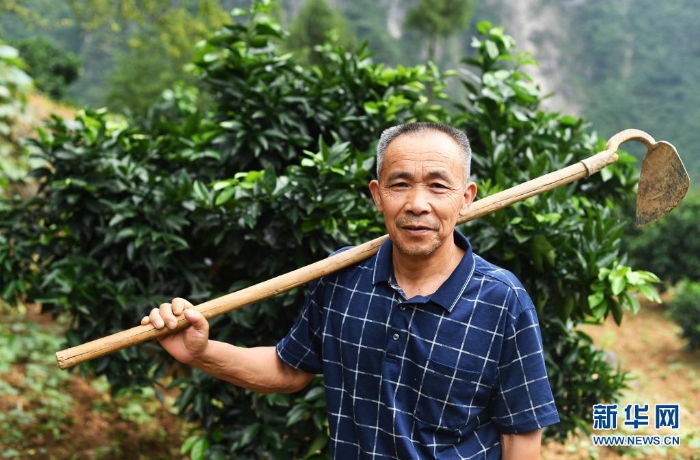 這是2020年7月3日在重慶市巫山縣竹賢鄉(xiāng)下莊村拍攝的毛相林。新華社記者 王全超 攝