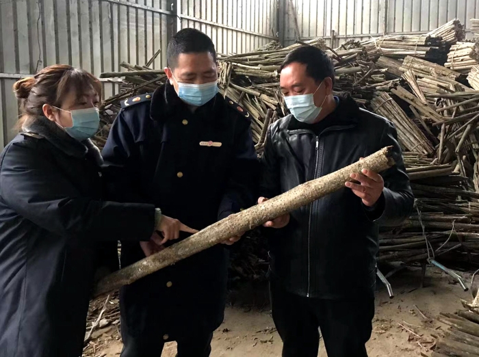 圖為工作人員在農(nóng)民專業(yè)合作社了解中藥材采收情況。