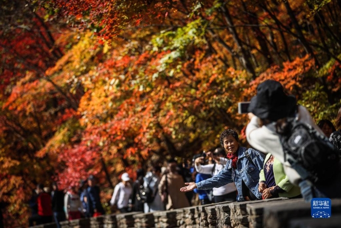 游客在遼寧省本溪市大石湖風景區(qū)拍照留念（2020年10月7日攝）。本溪市是國家森林城市，有“楓葉之都”的美譽。新華社記者 潘昱龍 攝
