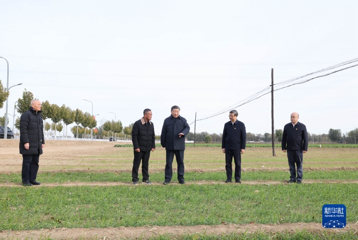 11月10日，中共中央總書記、國(guó)家主席、中央軍委主席習(xí)近平在北京、河北考察災(zāi)后恢復(fù)重建工作。這是10日下午，習(xí)近平在河北保定涿州市刁窩鎮(zhèn)萬全莊村村邊農(nóng)田察看冬小麥長(zhǎng)勢(shì)。新華社記者 王曄 攝