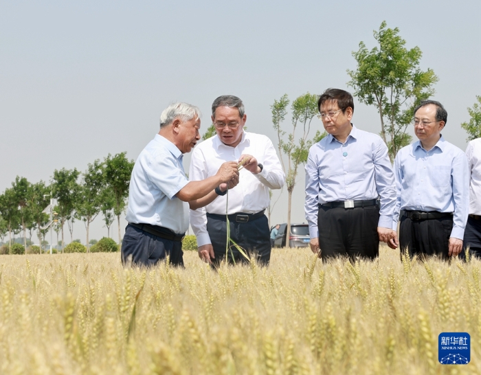 5月22日至23日，中共中央政治局常委、國務(wù)院總理李強(qiáng)在河南調(diào)研。這是5月23日，李強(qiáng)在新鄉(xiāng)市平原示范區(qū)高標(biāo)準(zhǔn)農(nóng)田調(diào)研。新華社記者 王曄 攝